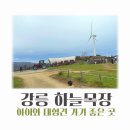 동막골흑염소 | 아기와 대형견 가기좋은 대관령 하늘목장 트랙터 마차 먹이주기체험