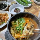 오리와생태의만남 이미지