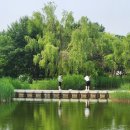 평화의공원 네이버블로그