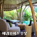 포이즈 | 발리 우붓 풀빌라 '에퀴포이즈 우붓' 신혼여행 후기