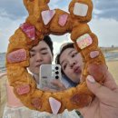 속초 놀거리 ‘카페배타고’ 아바이마을로 가서 피크닉을? 대여후기!