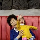 춘심이네 식당 이미지