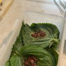 성대한 노래연습장 이미지