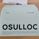 해랑에이전시 | 호주 막차 워홀 D+564~581 | 블번 웨하 취업 성공, 호주에서 보낸 두 번째 생일