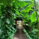 미리내사우나 이미지