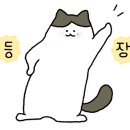 웨이브뷰티스튜디오