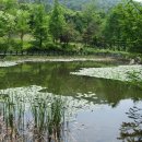 미원3리 Daum카페