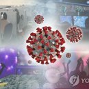 서울무도학원 이미지