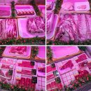 황가네정육점 이미지