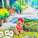 하률로12번길 이미지