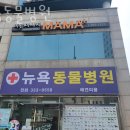 뉴욕동물병원 이미지