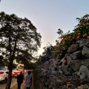 서귀포시청 제1청사 별관 이미지