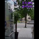 므두셀라실버타운 이미지