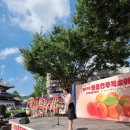 선창컴퍼니 - 용인시 기흥구 동백죽전대로 444 | [ 행사 진행 / 행사MC 섭외 ] “복숭아보다 달콤했던 진행 - 복숭아축제 기념식, 믿고 맡기는 행사...