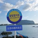 스테이자연도 이미지