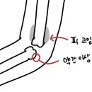 꽁냥이놀이터 티스토리