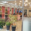 링스헤어살롱 - 강남구 | 링스헤어살롱