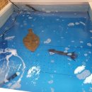 유성지업사 이미지