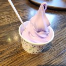 풍경버스 | [삿포로 여행 2일차] 홋카이도의 봄과 겨울이 공존하는 풍경! 비에이·후라노 버스투어 후기 🚌❄️