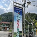 충북 보은 산모랭이풀내음펜션 아이와 가볼 만한 곳 원추리 후기