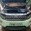 와이모터스 이미지