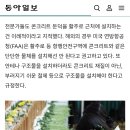 무안 공항 2m 둔덕이 참사 키웠다 이미지