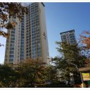 동이한방약국 이미지