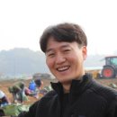 금산고려인삼도매 이미지