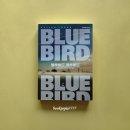 블루버드 이미지