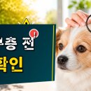 한국엘랑코동물약품 주식회사 | 넥스가드 스펙트라 월 구충 산책견은 어디서 사느냐보다 이 질문이 중요합니다