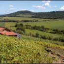 천혜농장 이미지