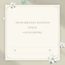 하늘강아지 반려동물 장례식장 이미지