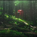 회화적 드로잉 이미지