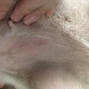 하진약국 이미지