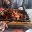 나라애견본점 | [시흥 애견동반 여행] 거북섬의 이국적인 정취와 LA코코보일링, 오이도 선사유적지 산책