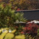 사계절 이미지