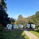 소정목장 | 제주 애월 가볼만한 곳 &#39;도치돌 알파카 목장&#39; 방문 후기 및 예약 (feat. 통나무파크펜션)