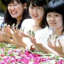 봉숭아어린이공원 이미지