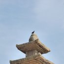 금골산 오층석탑 이미지