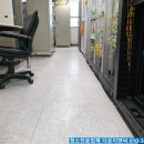 다온국사랑