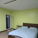 퍼니멍멍 갤럭시하우스점 이미지