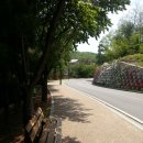 아랫배랭이 이미지