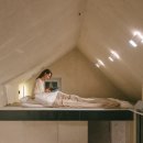 스테이 그로브 이미지