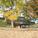 창녕 팔락정 이미지