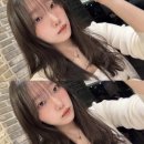 영남한의원 | 떨어지는 벚꽃잎을 잡으면