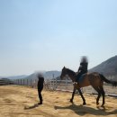 아미승마클럽 이미지