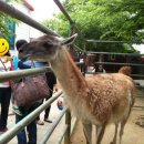 주주(ZOO ZOO) 이미지