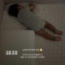 뿔난강아지 | 짱빵이 근황과 짧은 나트랑 여행후기 ✈️🏖️👍