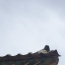 한국민속촌 이미지