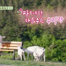 동원목장 이미지